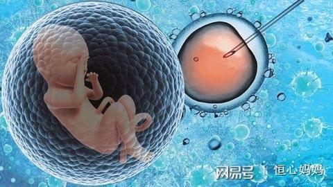 同志借卵代怀咨询哪家好